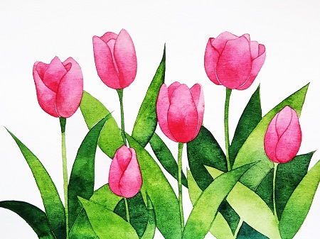 How to draw tulips easy like eating pie 